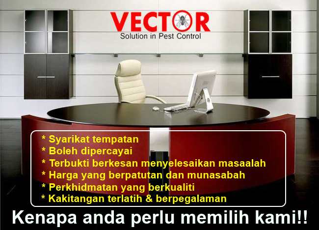 vectoroffice6